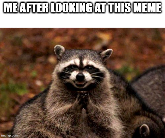 Evil Plotting Raccoon Meme | ME AFTER LOOKING AT THIS MEME | image tagged in memes,evil plotting raccoon | made w/ Imgflip meme maker