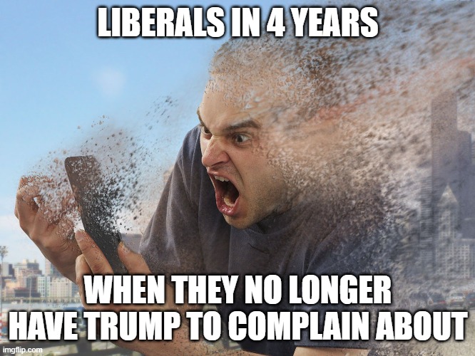 must suck to exist only to hate a single someone. | LIBERALS IN 4 YEARS; WHEN THEY NO LONGER HAVE TRUMP TO COMPLAIN ABOUT | image tagged in funny meme,truth,stupid liberals,political humor,donald trump approves | made w/ Imgflip meme maker