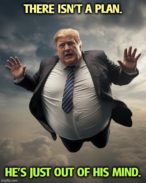 THERE ISN'T A PLAN. HE'S JUST OUT OF HIS MIND. | image tagged in trump,frontotemporal dementia,senile,insane,crazy,nuts | made w/ Imgflip meme maker