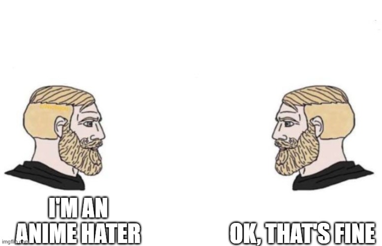 Double Yes Chad | OK, THAT'S FINE; I'M AN ANIME HATER | image tagged in double yes chad,hater | made w/ Imgflip meme maker