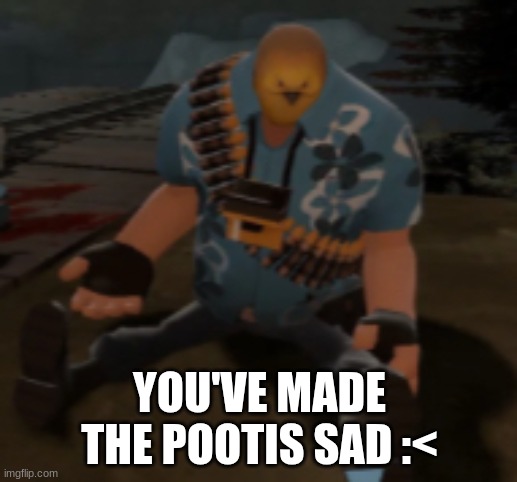 Sad Pootis bird | YOU'VE MADE THE POOTIS SAD :< | image tagged in sad pootis bird | made w/ Imgflip meme maker