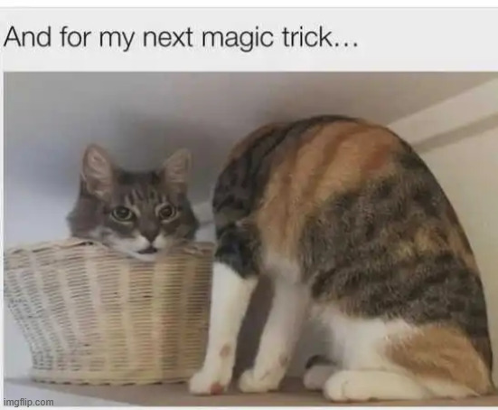 Magic trick | image tagged in repost,magic trick | made w/ Imgflip meme maker