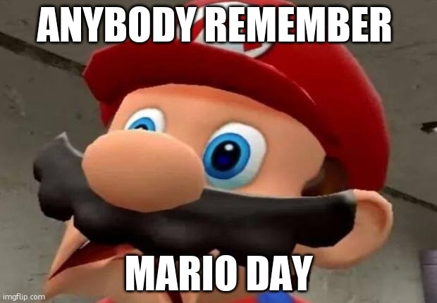 real | ANYBODY REMEMBER; MARIO DAY | image tagged in mario wtf | made w/ Imgflip meme maker