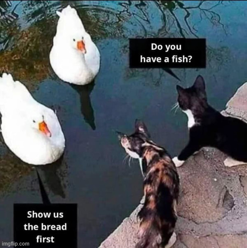 Show us the bread | image tagged in repost,bread,fish | made w/ Imgflip meme maker