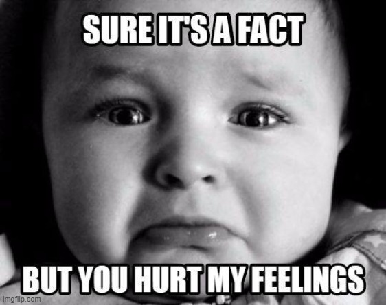 If Only Democrats Would Admit It, Too | image tagged in baby crying,facts,hurt feelings,democrats | made w/ Imgflip meme maker