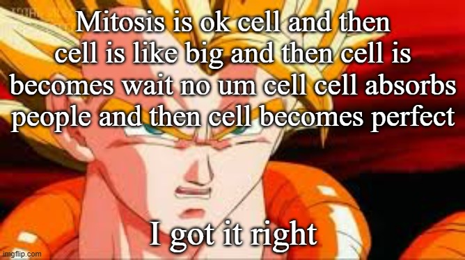 Super gogeta | Mitosis is ok cell and then cell is like big and then cell is becomes wait no um cell cell absorbs people and then cell becomes perfect; I got it right | image tagged in super gogeta | made w/ Imgflip meme maker