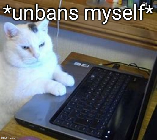 cuz I'm a W mod | *unbans myself* | image tagged in cat with computer | made w/ Imgflip meme maker