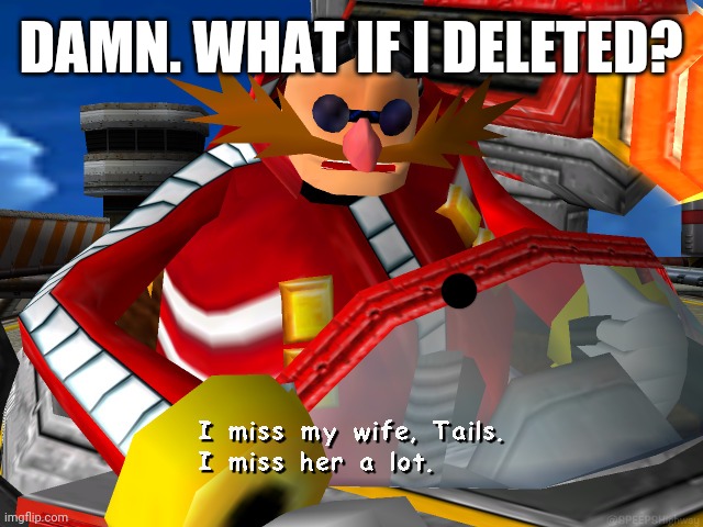 I miss my wife, Tails. | DAMN. WHAT IF I DELETED? | image tagged in i miss my wife tails | made w/ Imgflip meme maker