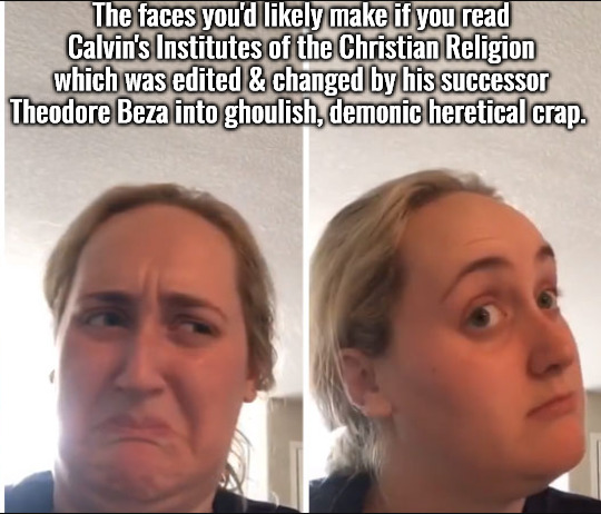 The Face You'd Likely Make | The faces you'd likely make if you read Calvin's Institutes of the Christian Religion which was edited & changed by his successor Theodore Beza into ghoulish, demonic heretical crap. | image tagged in the face you make,calvinism,arminian,molinism,reformed theology 5 point teaching,ai nuanced gnostic subtly catholic puppetry | made w/ Imgflip meme maker