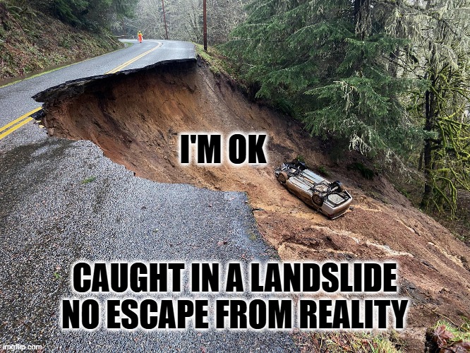 I'M OK CAUGHT IN A LANDSLIDE
NO ESCAPE FROM REALITY | made w/ Imgflip meme maker