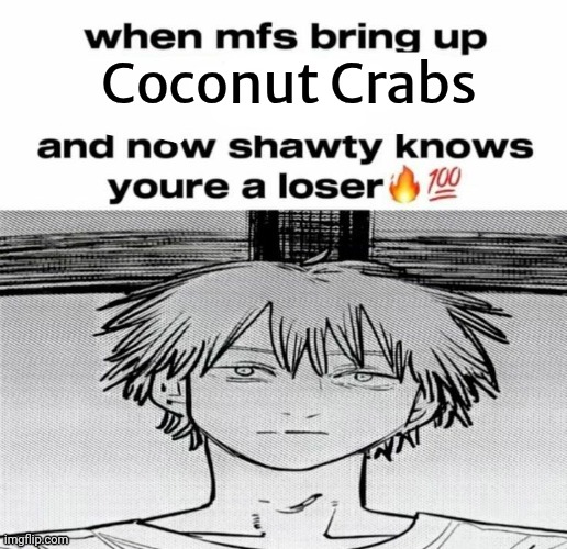 Denji know's you're a loser | Coconut Crabs | image tagged in denji know's you're a loser | made w/ Imgflip meme maker