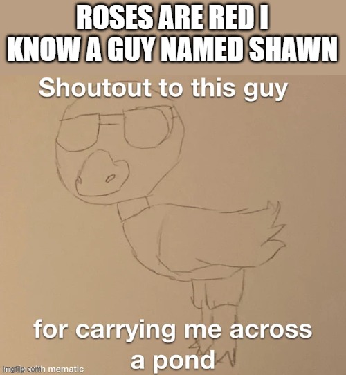ROSES ARE RED I KNOW A GUY NAMED SHAWN | made w/ Imgflip meme maker