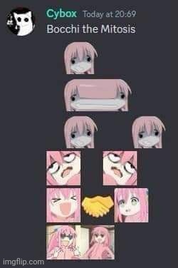 Bocchi the mitosis | image tagged in bocchi the mitosis | made w/ Imgflip meme maker