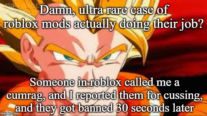 Super gogeta | Damn, ultra rare case of roblox mods actually doing their job? Someone in roblox called me a cumrag, and I reported them for cussing, and they got banned 30 seconds later | image tagged in super gogeta | made w/ Imgflip meme maker