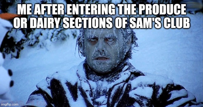 The dairy or Produce sections of Sam's club be like | ME AFTER ENTERING THE PRODUCE OR DAIRY SECTIONS OF SAM'S CLUB | image tagged in freezing cold,sam's club | made w/ Imgflip meme maker