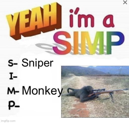 I'ma sniper monkey | image tagged in sniper monkey | made w/ Imgflip meme maker
