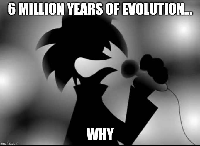 AAAAAAAAAAAAAAAAAAAAAAAAAAAAAAAAAAAAAAAA | 6 MILLION YEARS OF EVOLUTION... WHY | image tagged in aaaaaaaaaaaaaaaaaaaaaaaaaaaaaaaaaaaaaaaa | made w/ Imgflip meme maker