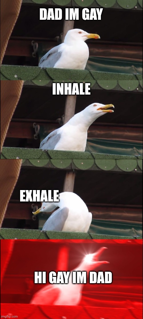 Inhaling Seagull | DAD IM GAY; INHALE; EXHALE; HI GAY IM DAD | image tagged in memes,inhaling seagull | made w/ Imgflip meme maker