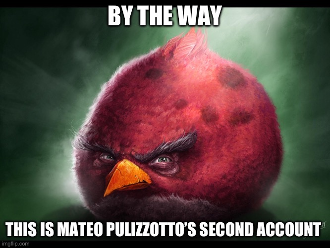 Realistic Angry Bird (big red) | BY THE WAY; THIS IS MATEO PULIZZOTTO’S SECOND ACCOUNT | image tagged in realistic angry bird big red | made w/ Imgflip meme maker