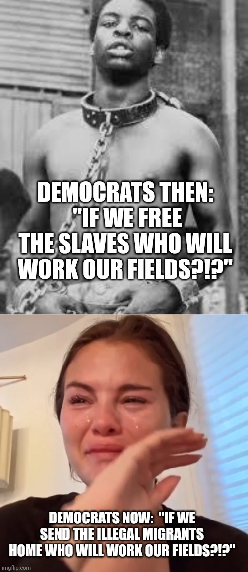 DEMOCRATS THEN:  "IF WE FREE THE SLAVES WHO WILL WORK OUR FIELDS?!?"; DEMOCRATS NOW:  "IF WE SEND THE ILLEGAL MIGRANTS HOME WHO WILL WORK OUR FIELDS?!?" | image tagged in black slave,selena gomez cry | made w/ Imgflip meme maker