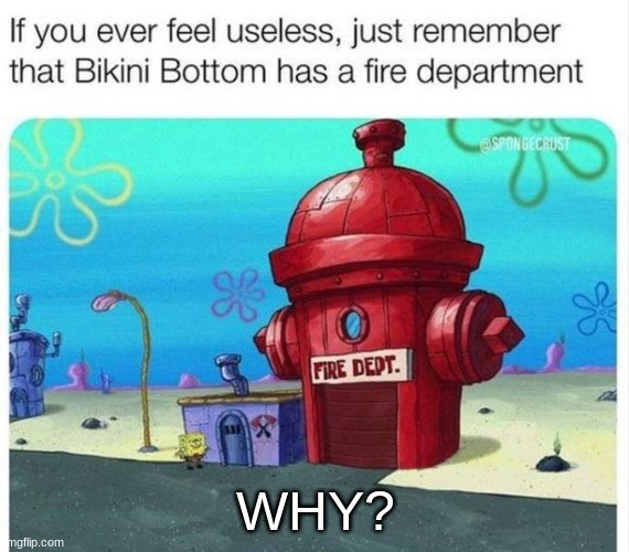 bro they r living under water like wtf were they thinking | WHY? | image tagged in memes,funny,if your ever feeling useless,spongebob | made w/ Imgflip meme maker