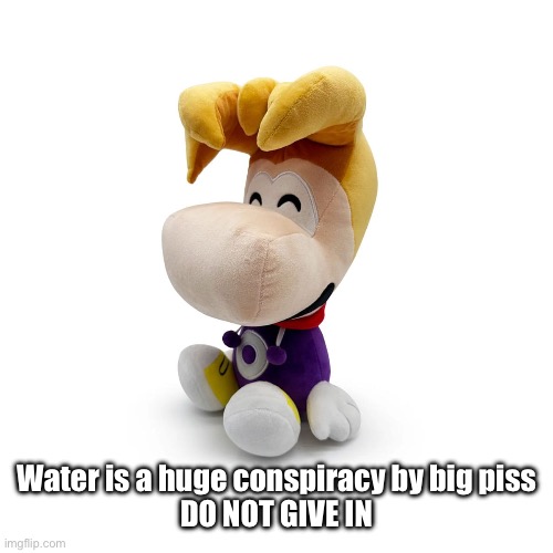 Rayman Plush Youtooz | Water is a huge conspiracy by big piss
DO NOT GIVE IN | image tagged in rayman plush youtooz | made w/ Imgflip meme maker