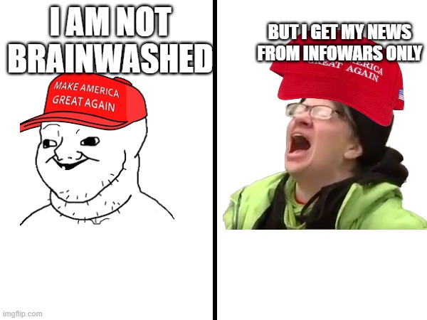 Alex Jones admitted to lying | BUT I GET MY NEWS FROM INFOWARS ONLY; I AM NOT BRAINWASHED | image tagged in square divided in half,pathetic don,triggered maga | made w/ Imgflip meme maker