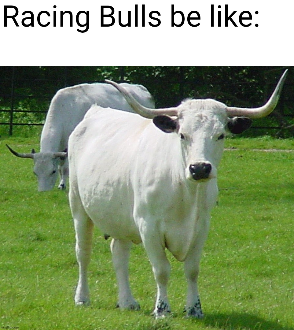 Racing Bulls be like: | image tagged in formula 1,racing,bulls,teams,white | made w/ Imgflip meme maker