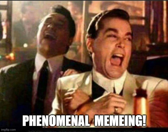 Lol good fellas  | PHENOMENAL  MEMEING! | image tagged in lol good fellas | made w/ Imgflip meme maker