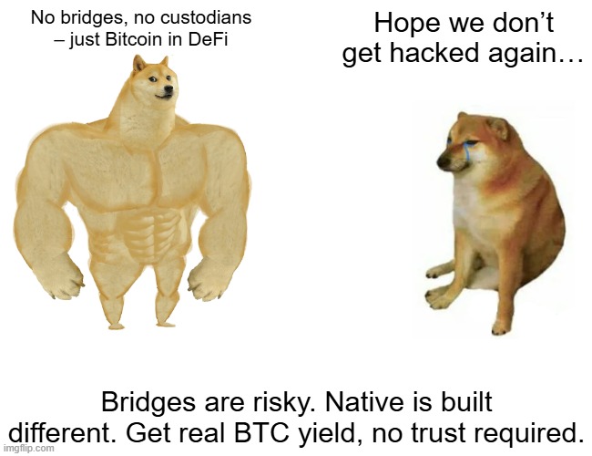 Buff Doge vs. Cheems | No bridges, no custodians – just Bitcoin in DeFi; Hope we don’t get hacked again…; Bridges are risky. Native is built different. Get real BTC yield, no trust required. | image tagged in memes,buff doge vs cheems | made w/ Imgflip meme maker