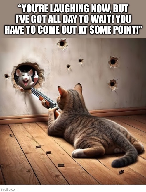 “I’ll get you after one of my naps!” | “YOU’RE LAUGHING NOW, BUT I’VE GOT ALL DAY TO WAIT! YOU HAVE TO COME OUT AT SOME POINT!” | image tagged in cats | made w/ Imgflip meme maker