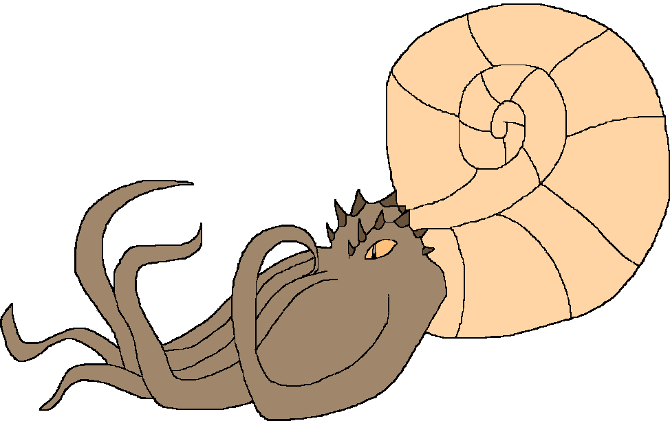 Female Ammonite (Paleoverse + EOIverse) Meme Template