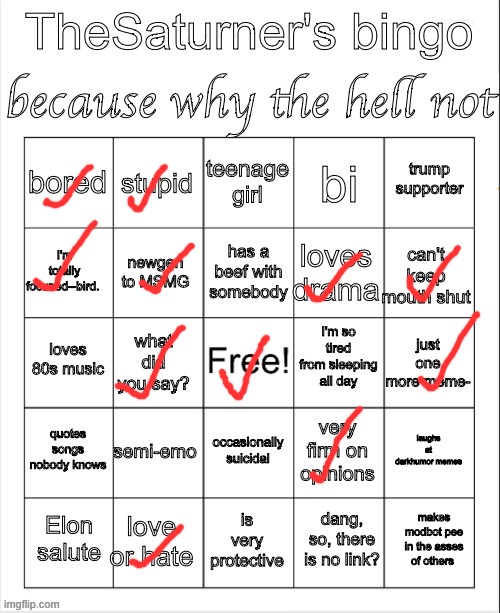 Saturner's Bingo Thingy | image tagged in saturner's bingo thingy | made w/ Imgflip meme maker