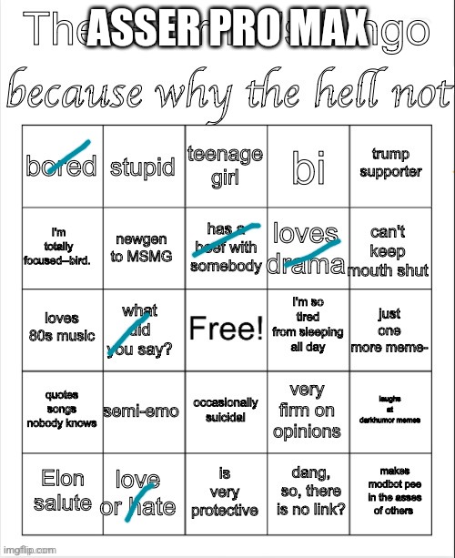 shitty ass bingo v 75766 | ASSER PRO MAX | image tagged in saturner's bingo thingy | made w/ Imgflip meme maker