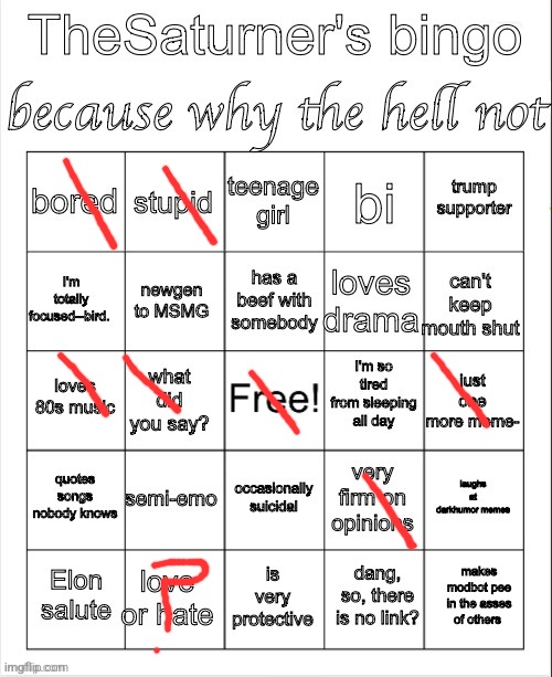Saturner's Bingo Thingy | image tagged in saturner's bingo thingy | made w/ Imgflip meme maker