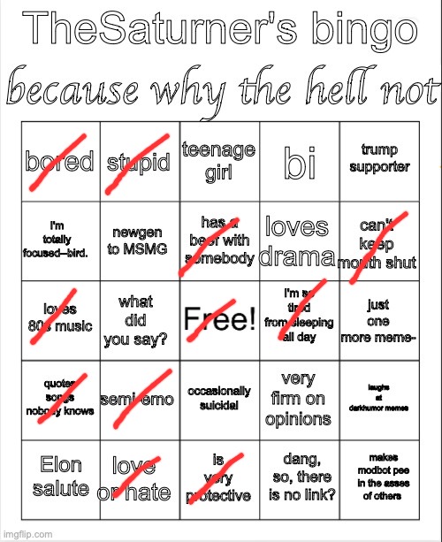 Saturner's Bingo Thingy | image tagged in saturner's bingo thingy | made w/ Imgflip meme maker