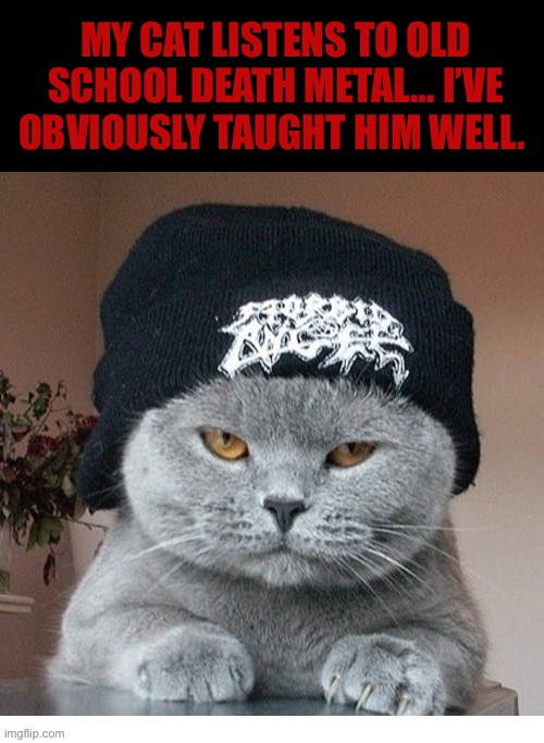 Tampa, NY, and Euro DM especially. | MY CAT LISTENS TO OLD SCHOOL DEATH METAL… I’VE OBVIOUSLY TAUGHT HIM WELL. | image tagged in death metal | made w/ Imgflip meme maker