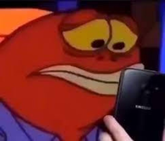 Fish Looking At Phone Sadly | image tagged in fish looking at phone sadly | made w/ Imgflip meme maker