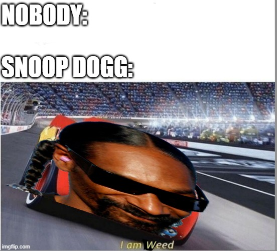 "When the pips in the crib ma, (Drop it like it's hot)" kind of reminds me of the scene in cars with the cool neon drippers | NOBODY:
 
SNOOP DOGG:; W | image tagged in i am speed,weed,lightning mcqueen,cars,snoop dogg,lol so funny | made w/ Imgflip meme maker