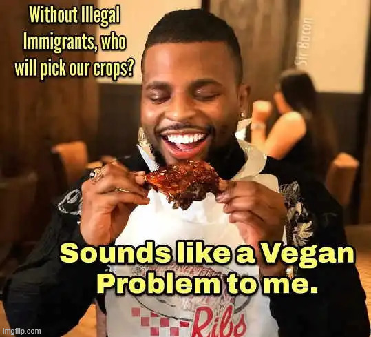 Vegan problem | image tagged in vegan problem,political,reposts | made w/ Imgflip meme maker