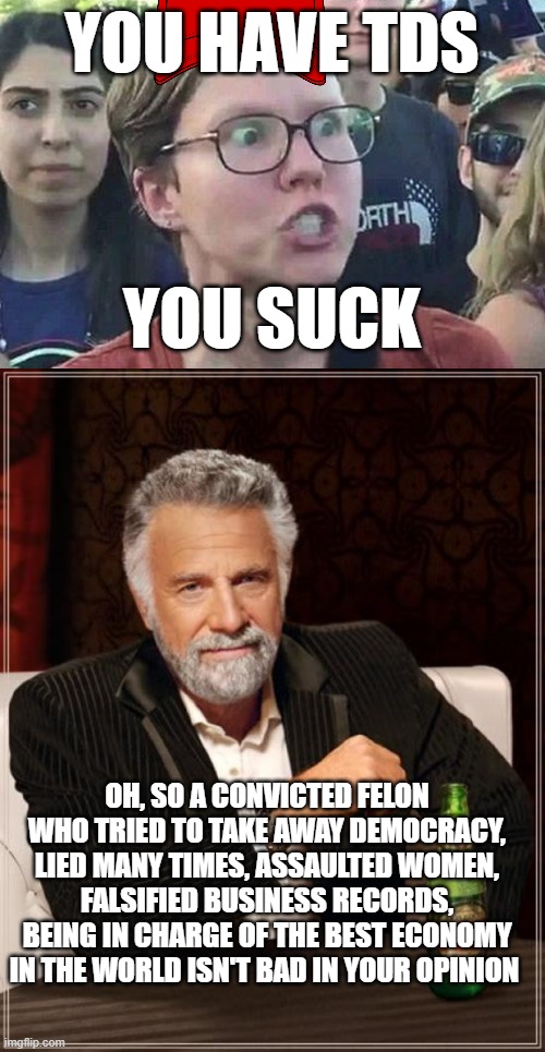 The truth about TDS | YOU HAVE TDS; YOU SUCK; OH, SO A CONVICTED FELON WHO TRIED TO TAKE AWAY DEMOCRACY, LIED MANY TIMES, ASSAULTED WOMEN, FALSIFIED BUSINESS RECORDS, BEING IN CHARGE OF THE BEST ECONOMY IN THE WORLD ISN'T BAD IN YOUR OPINION | image tagged in triggered liberal,memes,the most interesting man in the world,tds means you have logic,pathetic don | made w/ Imgflip meme maker