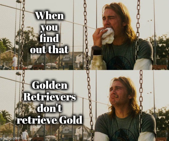 I still love him | When you find out that; Golden Retrievers don't retrieve Gold | image tagged in memes,first world stoner problems,golden retriever,gold digger,well yes but actually no,doggo | made w/ Imgflip meme maker