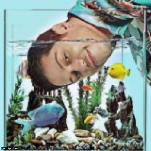 WHOISTHISGUY | image tagged in whoisthisguy | made w/ Imgflip meme maker