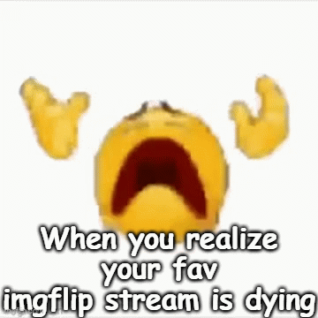 msmg - Imgflip