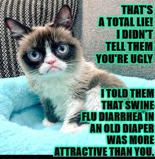 Mis Grump Being Mean | image tagged in cats,funny,grumpy cat,mocking,insulted,that's a lie | made w/ Imgflip meme maker