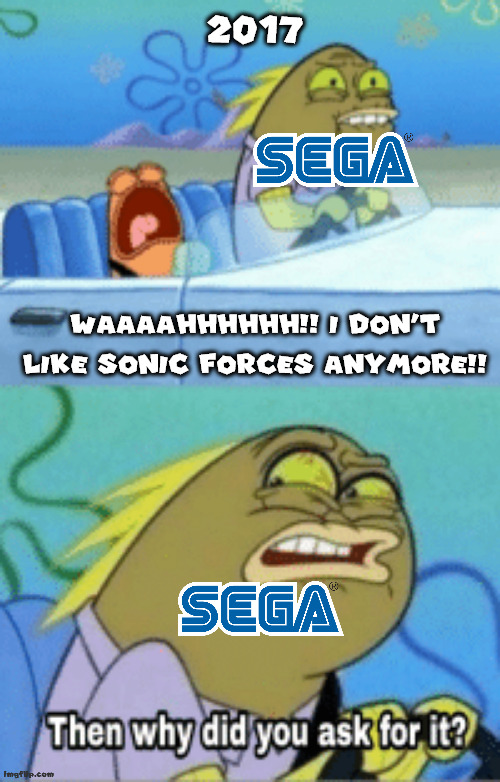 2017: | 2017; WAAAAHHHHHH!! I DON'T LIKE SONIC FORCES ANYMORE!! | image tagged in then why did you ask for it,sonic forces,2017,sega,crying | made w/ Imgflip meme maker
