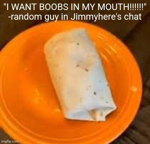 JimmyHere Burrito | "I WANT BOOBS IN MY MOUTH!!!!!!"
-random guy in Jimmyhere's chat | image tagged in jimmyhere burrito | made w/ Imgflip meme maker
