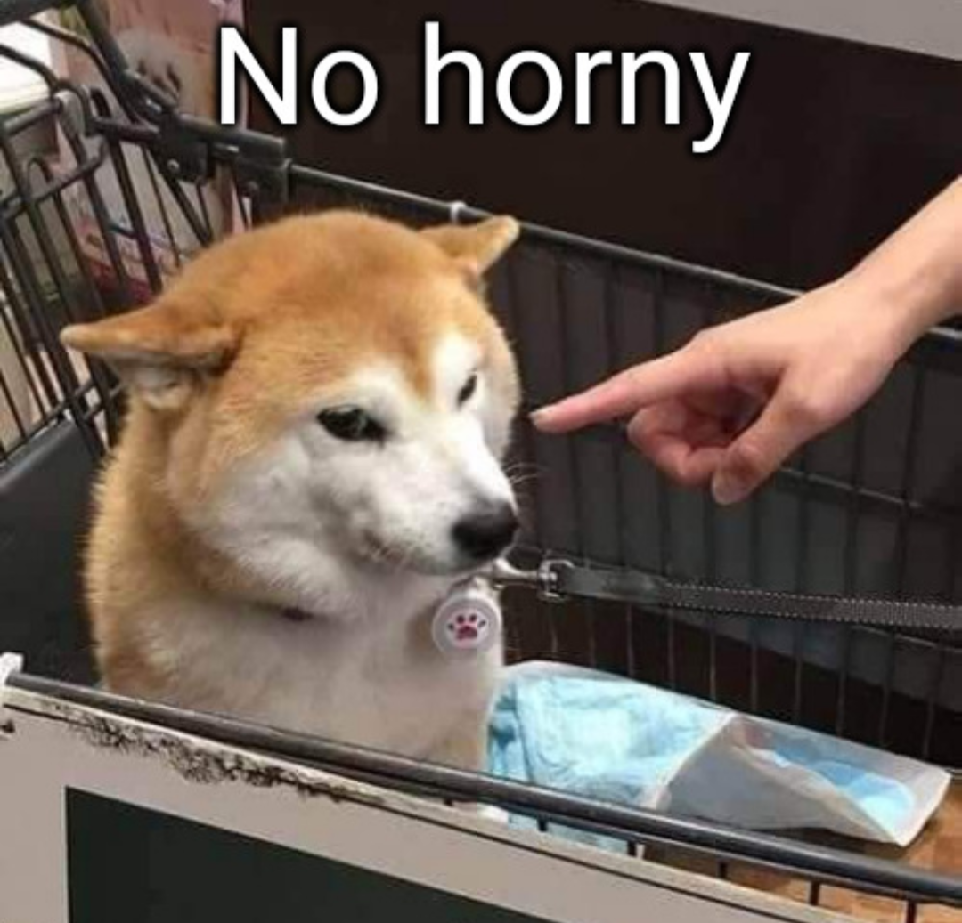 no horny Blank Meme Template