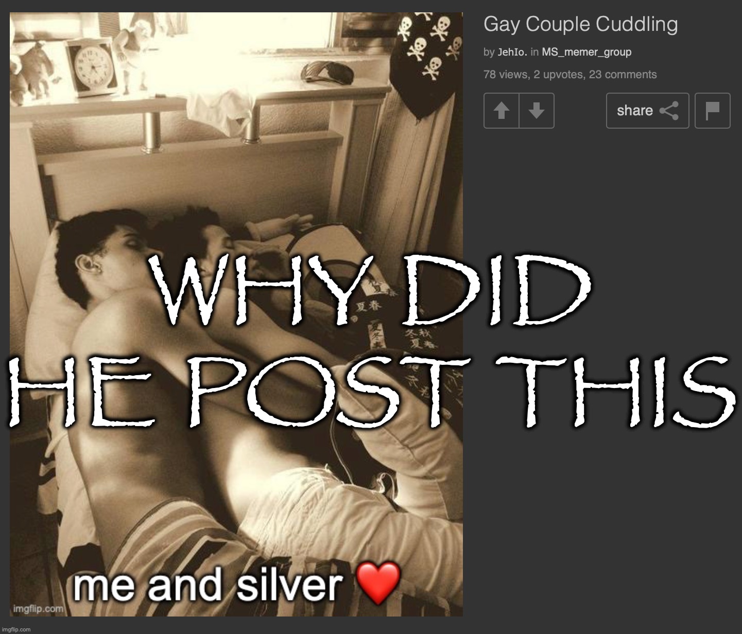 WHY DID HE POST THIS | made w/ Imgflip meme maker