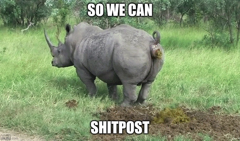 Rhino taking a dump | SO WE CAN; SHITPOST | image tagged in rhino taking a dump | made w/ Imgflip meme maker